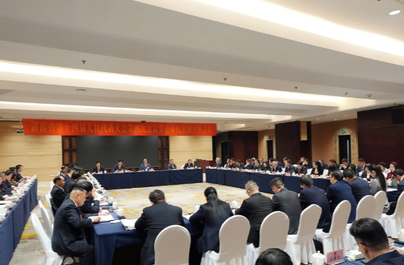 毛伟明参加常德市代表团审议