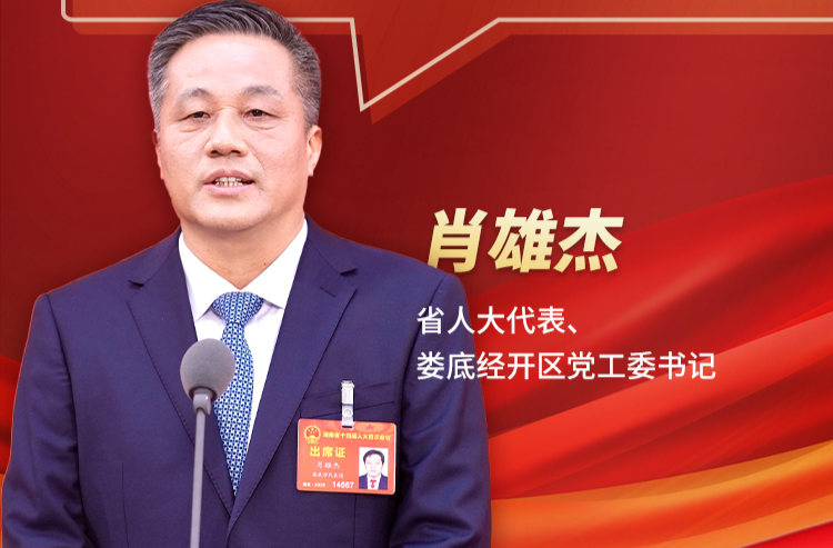 代表通道丨肖雄杰：高质量建设好中部地区“材料谷”