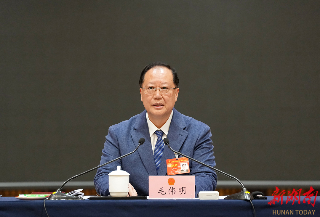 毛伟明参加常德市代表团审议