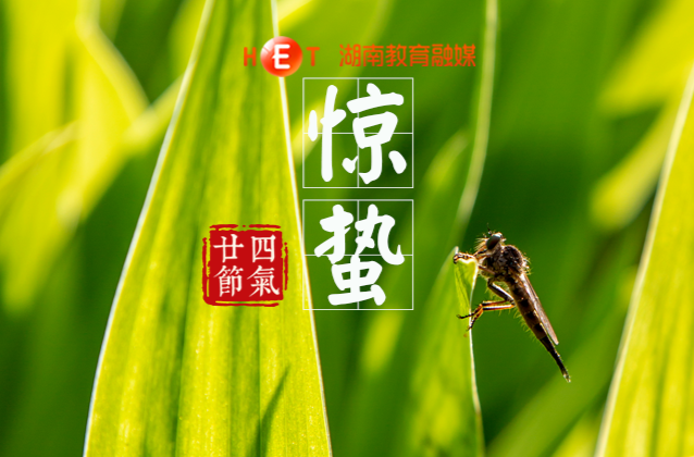 春雷响，万物长