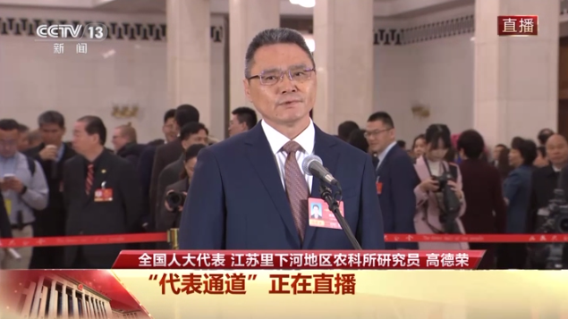 代表通道丨高德荣：让小麦学会“抢时间” 让种粮人有奔头