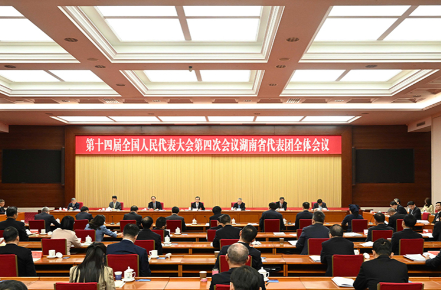 湖南代表团举行第三次全体会议和分组会议