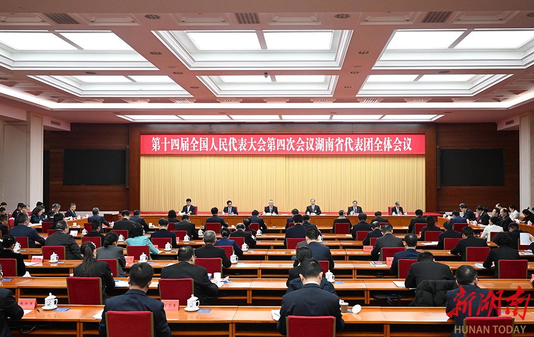 湖南代表团举行第五次全体会议和分组会议