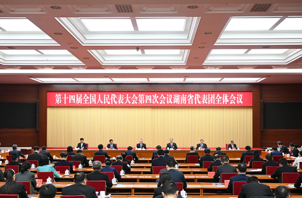 湖南代表团举行第五次全体会议和分组会议