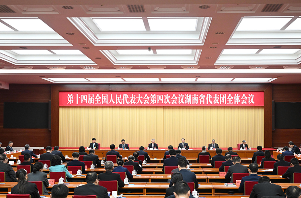湖南代表团举行第五次全体会议和分组会议
