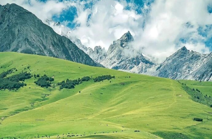 以法为纲 山青水长——《中华人民共和国生态环境法典》诞生记