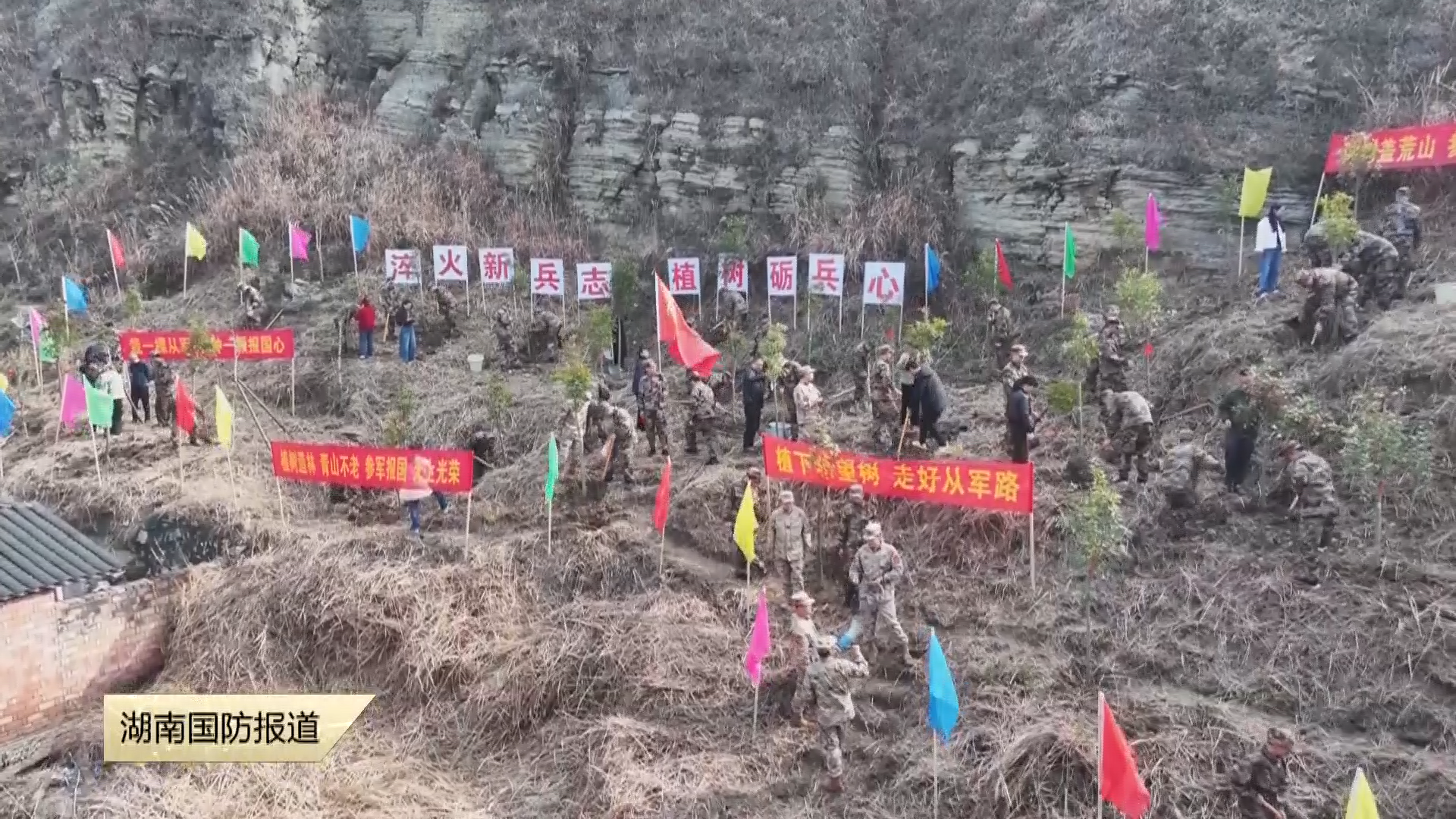 湖南多地开展植树节活动