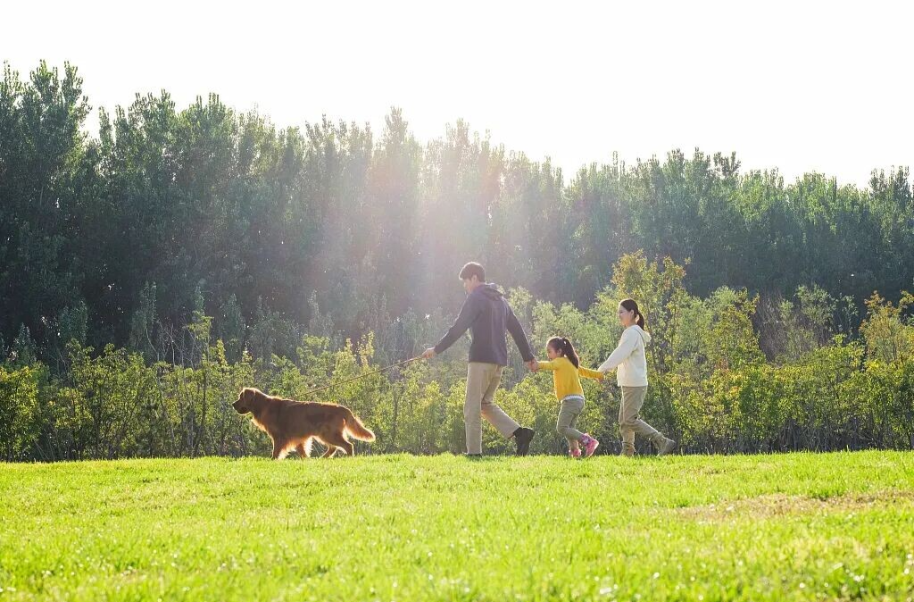 推动儿童友好建设迈上更高水平、惠及更多儿童——解读《关于在全社会推进儿童友好建设的意见》