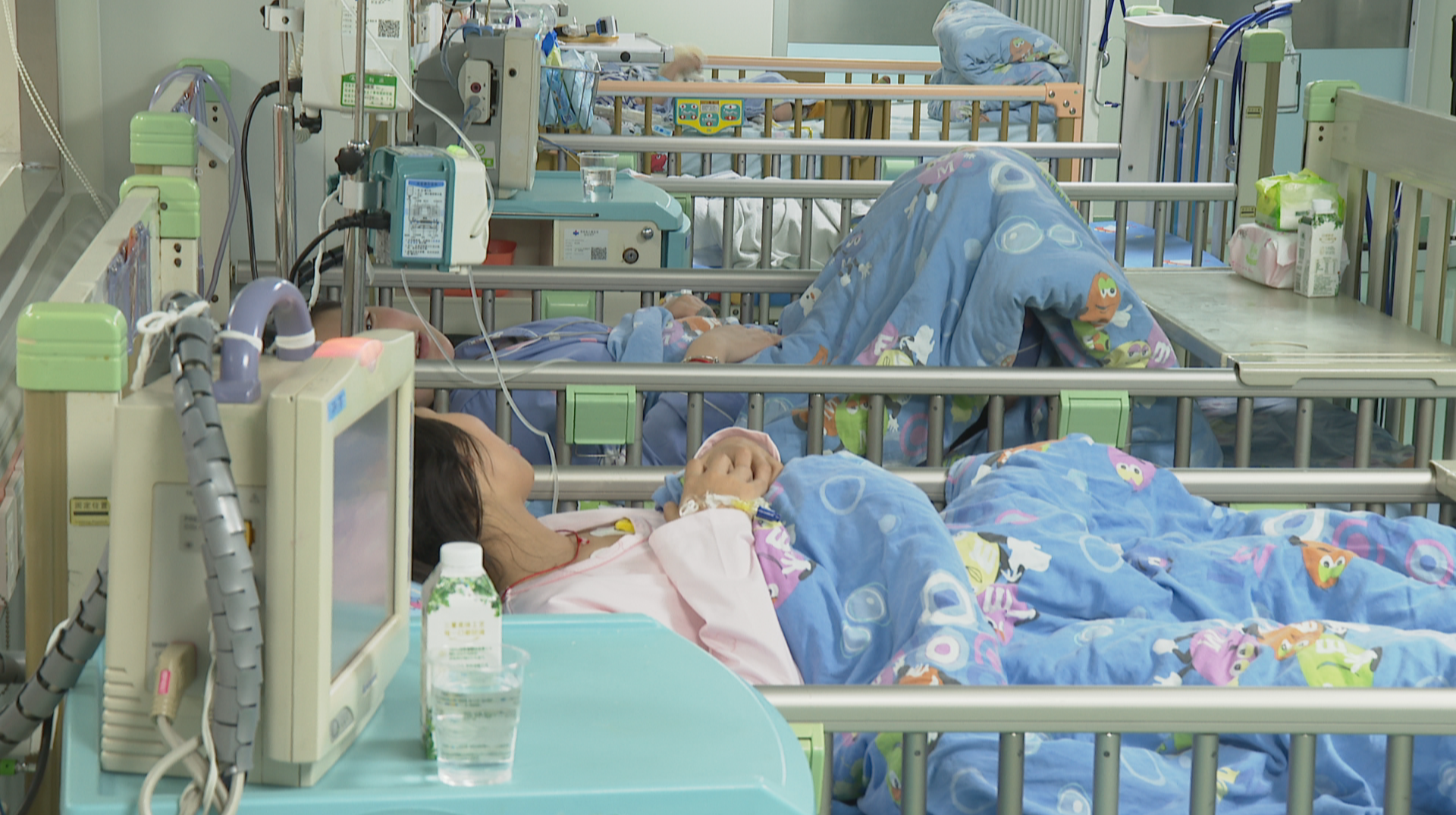 野生蘑菇别乱吃！两名初中生因舔尝校园野生菌中毒