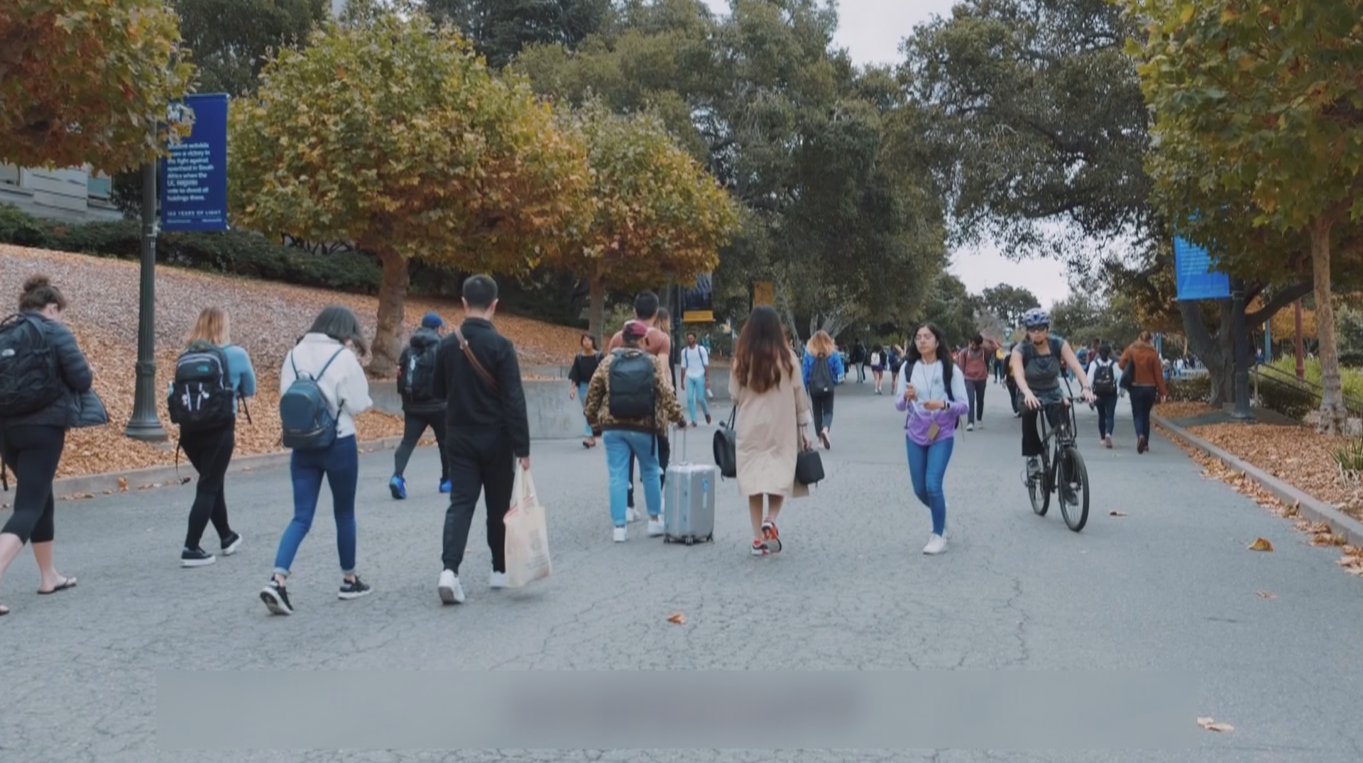 理工科持续走热 新质产业成留学新选择