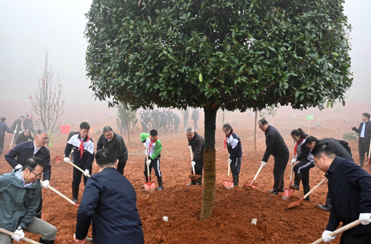 全省集中义务植树活动举行 沈晓明毛伟明毛万春参加
