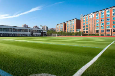 健全校园欺凌防治长效机制等 四部门部署校园安全工作