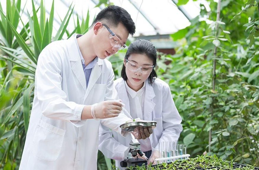 两部门发文部署四大任务 到2030年实现高校科普工作全覆盖