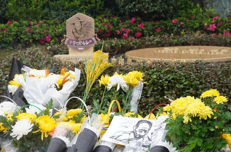 风雨中的稻香与守望 全国水稻守护志愿者齐聚长沙缅怀袁隆平院士