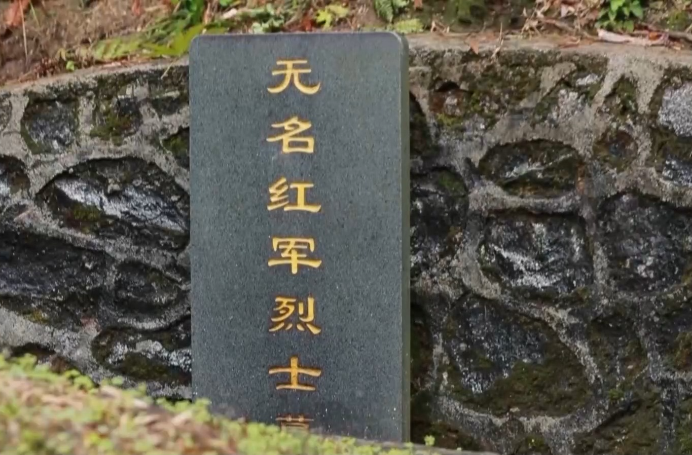 央媒看湖南丨三代人九十二年守护红军墓 红色信仰代代相传