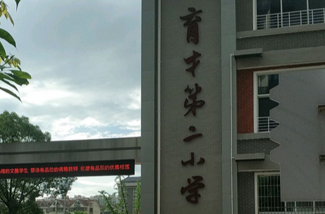 以党建品牌强引领 以思政铸魂育新人 ——中小学党组织思政引领力的实践探索与初心践行