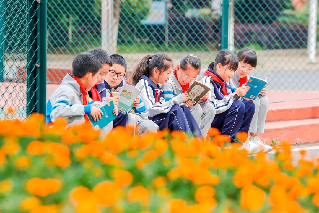 在书香中赓续中华文脉