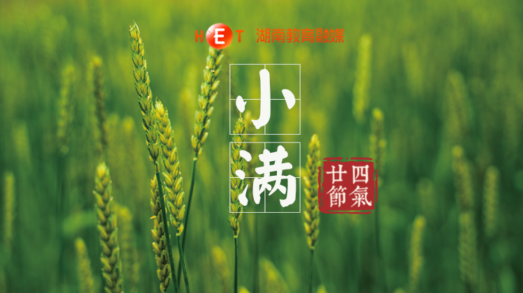 今日小满