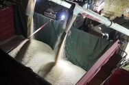 新一轮强降雨，如何防汛抢收？