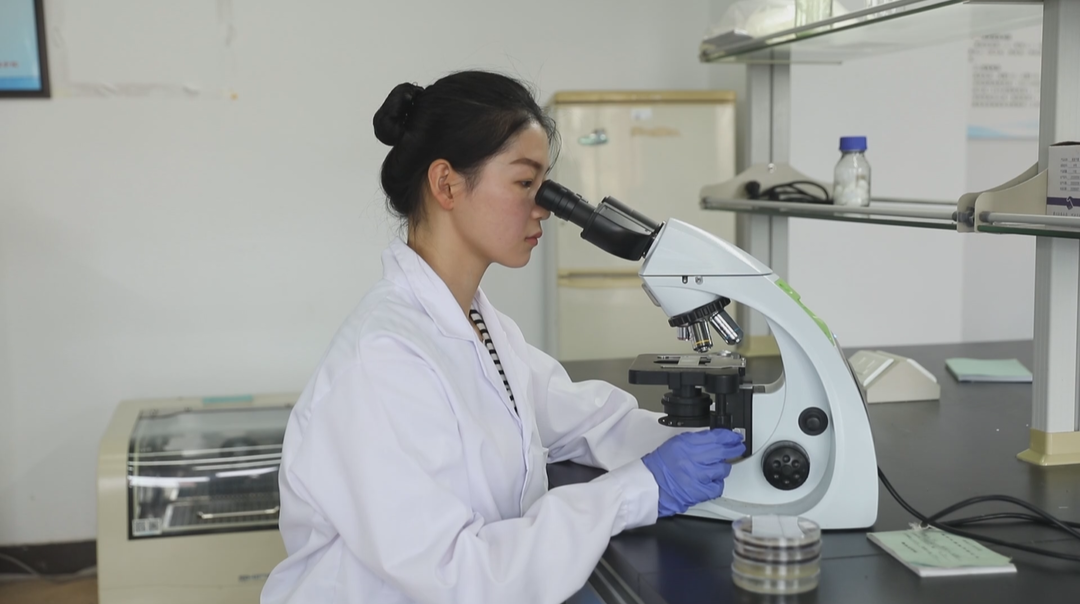 湖南文理学院：18名学生用科创成果代替毕业论文