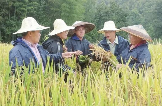 解码国家科技奖背后的湖南故事