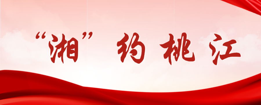 岳院学子“湘”约桃江，这场青春实践“当”仁不让！