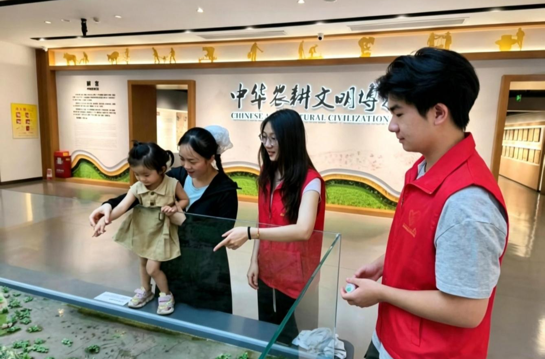 银发传薪 青苗筑梦——湖南农大师探索代际共融公益创业新模式