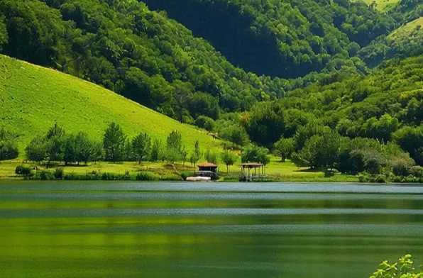 领航 | 共绘美丽中国新画卷