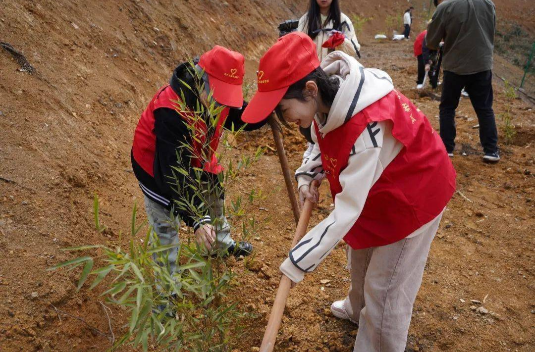 把论文写在祖国大地上！“青年实干家·绿色发展专项”已启动