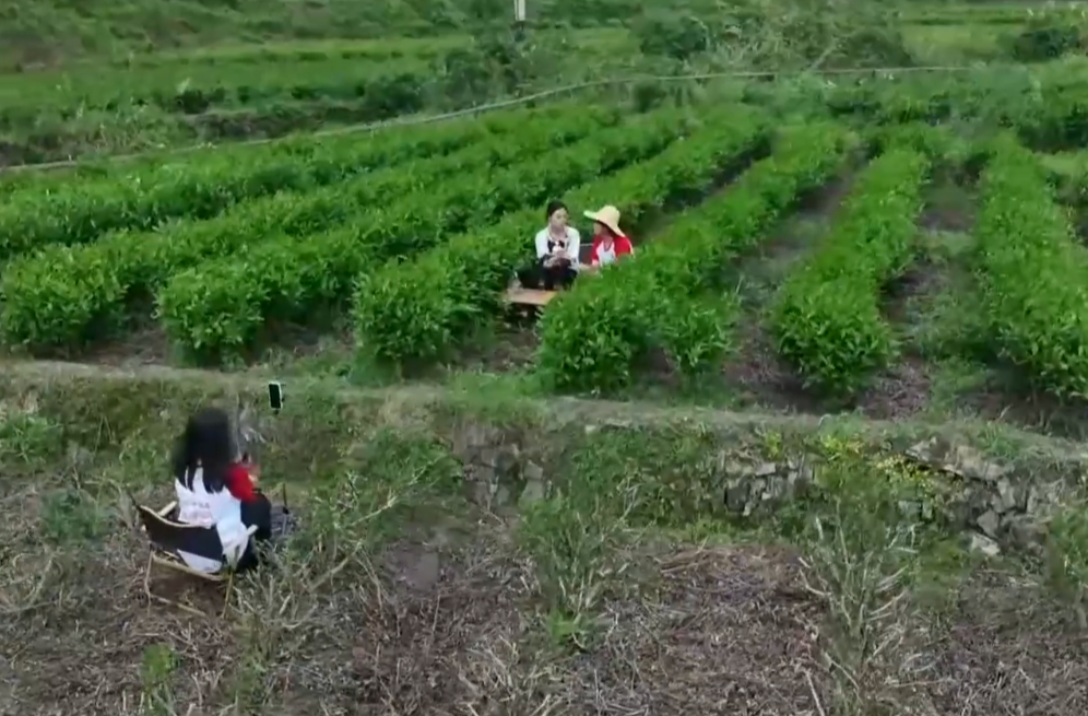 《焦点访谈》：青春赴山海 天地有作为