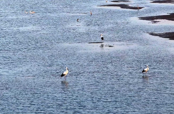 治水有“数” 碧波长流——湖南数据要素赋能高质量发展系列报道之六