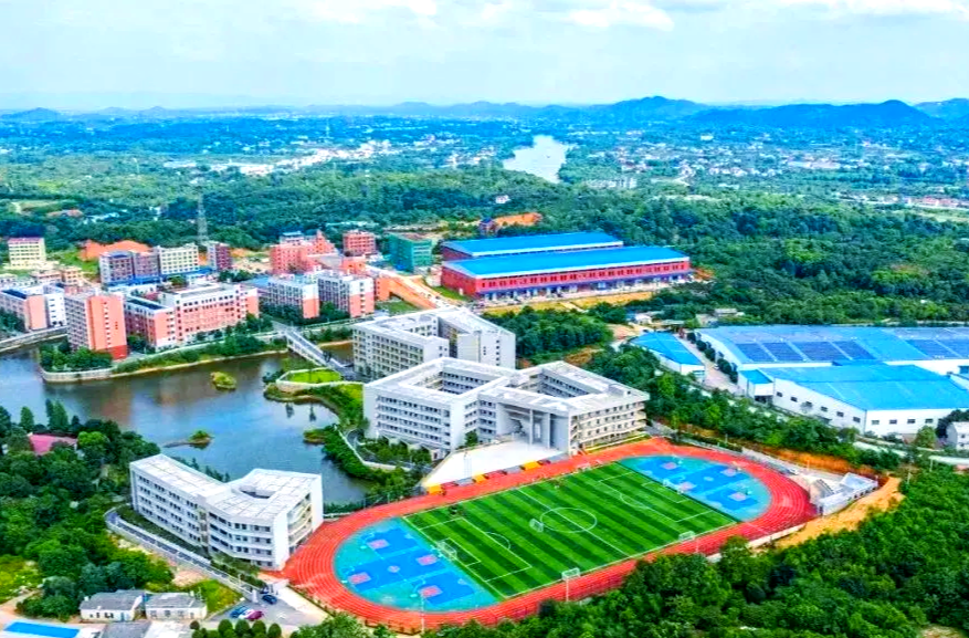 推进优质均衡 市域如何破局
