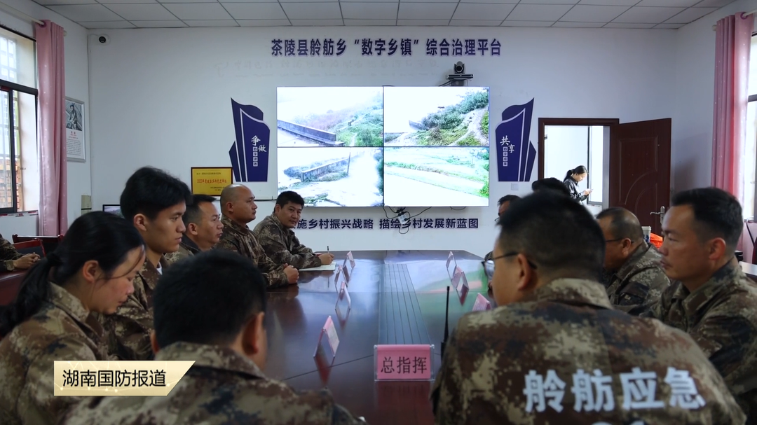 株洲茶陵：人防智防同向发力 筑牢防汛安全防线