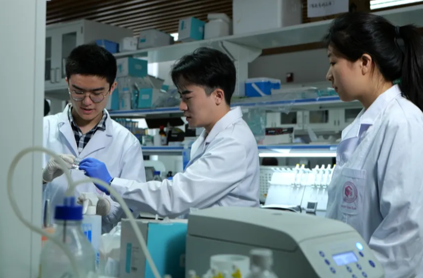 发挥高等教育龙头作用,服务国家战略