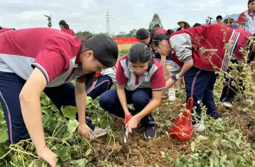 教育部：在全国推行每周至少半天校外实践教学