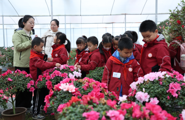 湖南应用技术学院为乡村学子开设“植物王国”特色思政课 图2